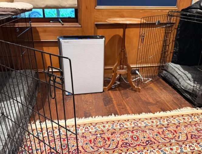 Levoit EverestAir air purifier in an open plan living room