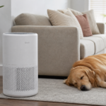 The Levoit Vital 200S air purifier in a pet-friendly home.