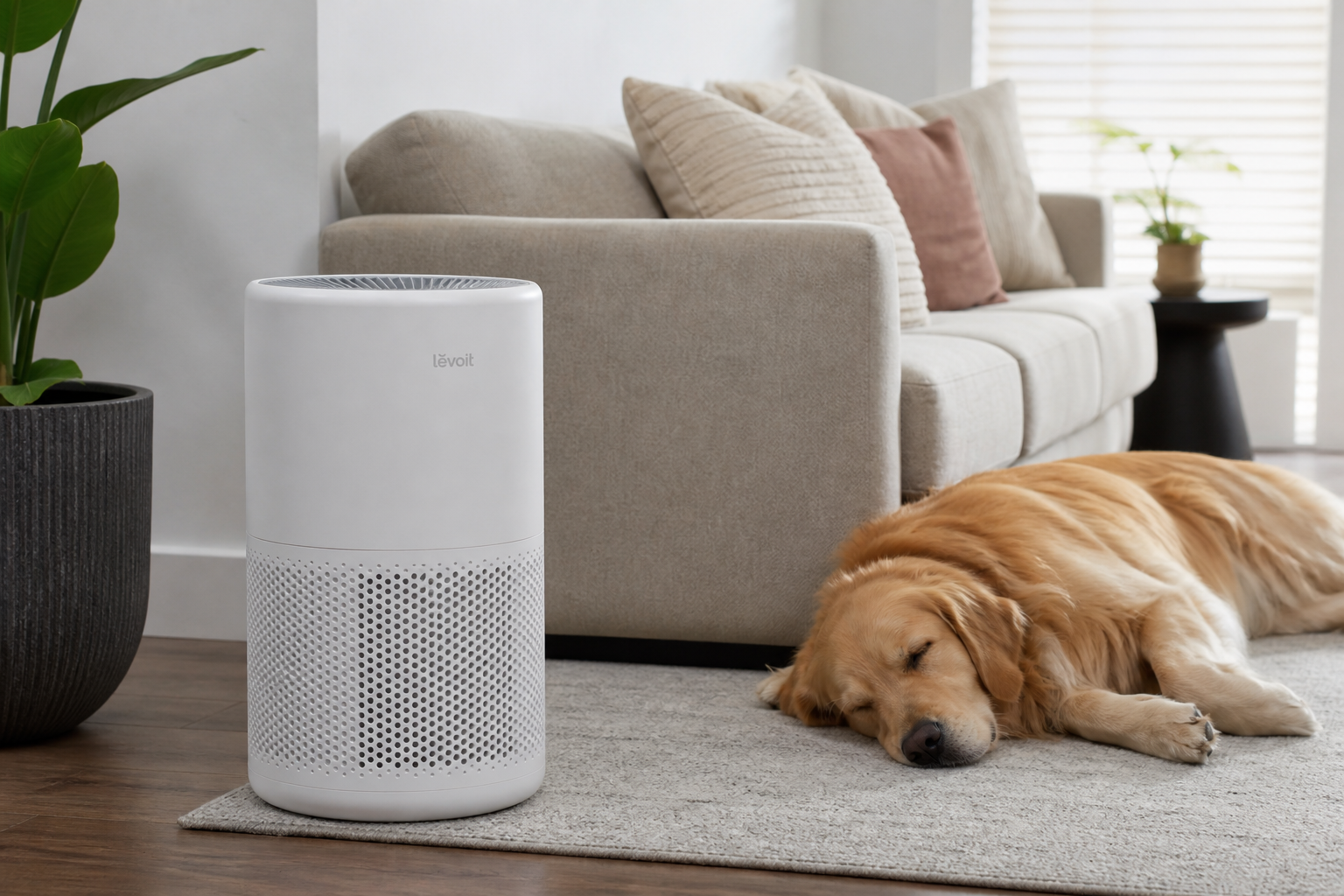 The Levoit Vital 200S air purifier in a pet-friendly home.